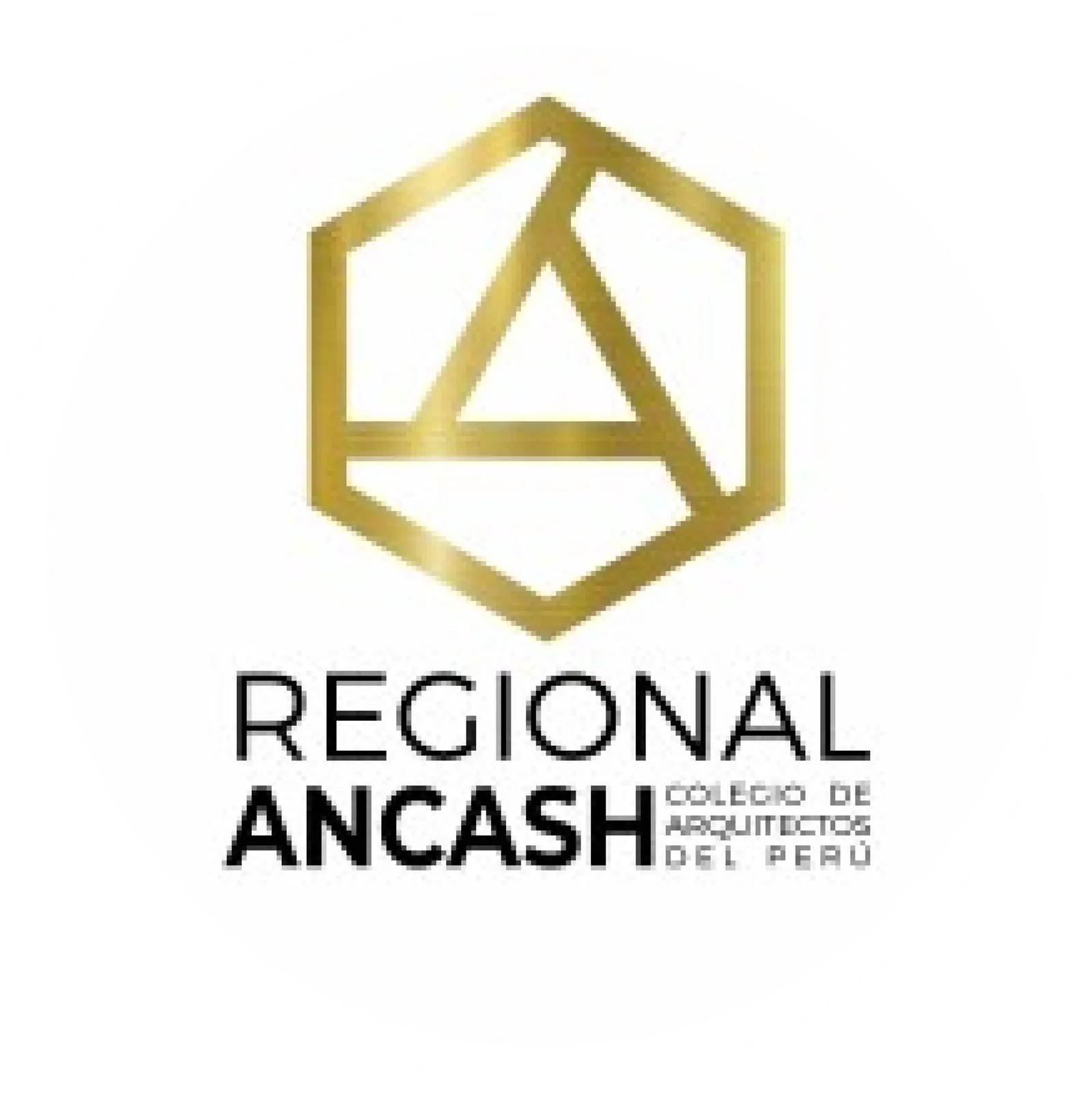 Colegio de Arquitectos del Perú · Regional Áncash